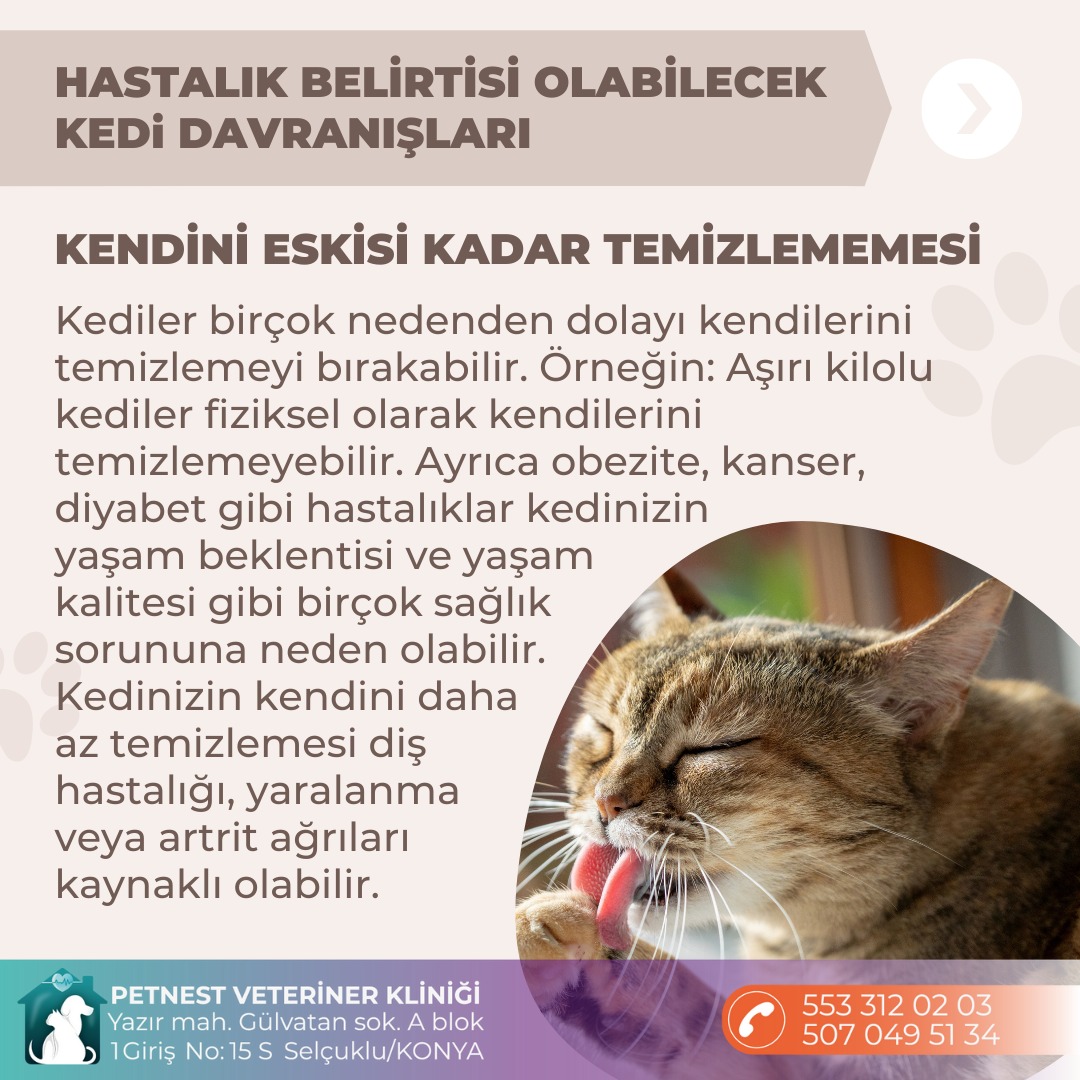 Hizmet Galerisi